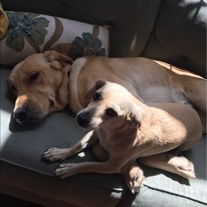 Meet your Posher, Siera