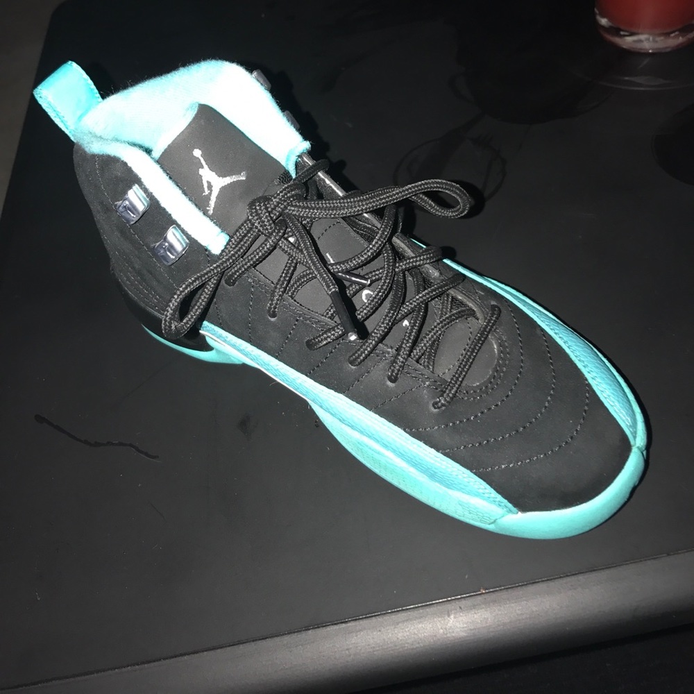 Jordan's retro 12