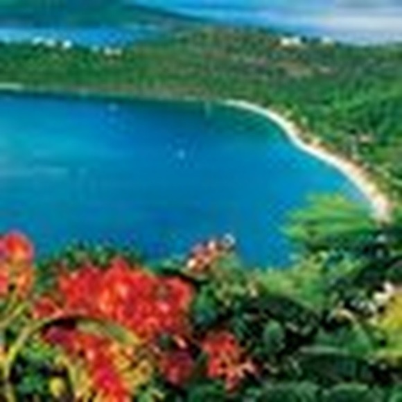 Meet your Posher, Laura - Picture 1 of 1