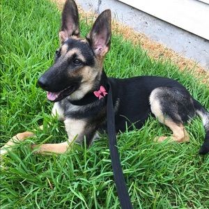 Meet your Posher, Anita