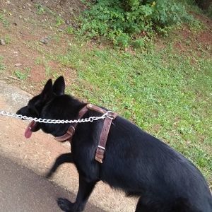 Meet your Posher, Edwin