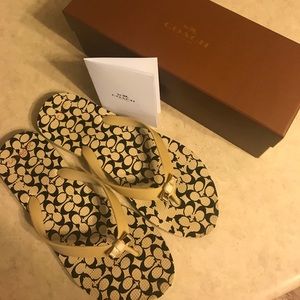 Coach flip-flops