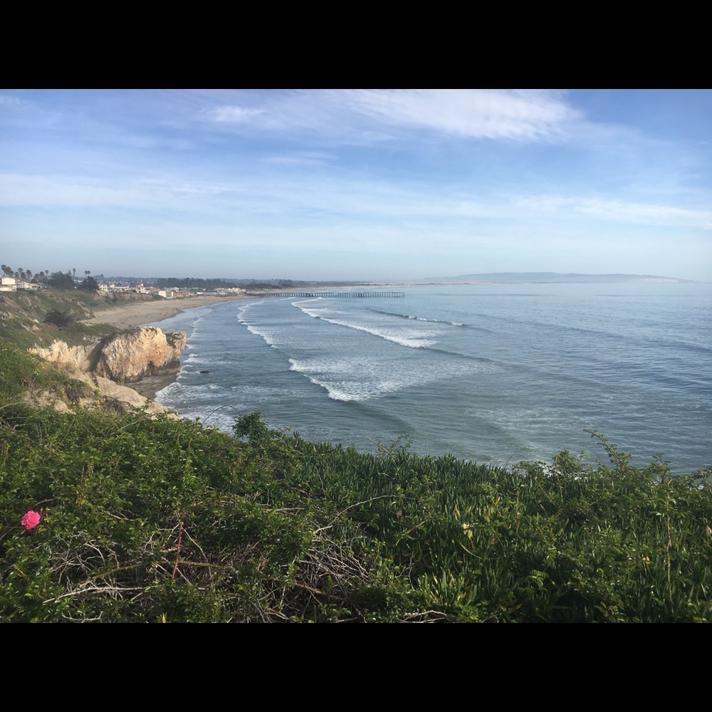 Meet your Posher, Macy may