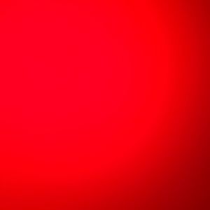 Meet your Posher, Raleigh