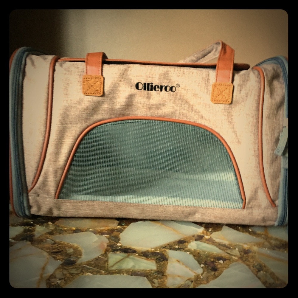 Foldable Luxury Pet Carrier