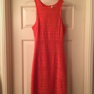 Coral lace bodycon dress