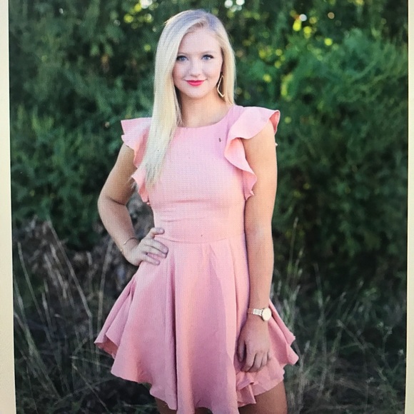 **SALE**Derby Day Fit and Flare Dress, Blush - Picture 3 of 3