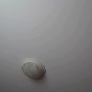 Meet your Posher, Abigail