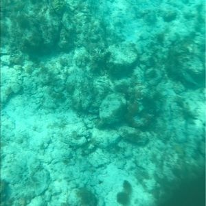 Meet your Posher, Genevieve