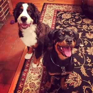 Meet your Posher, Brian