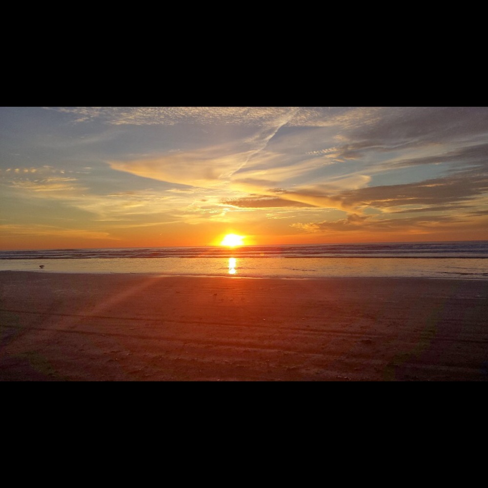 Meet your Posher, Bradford