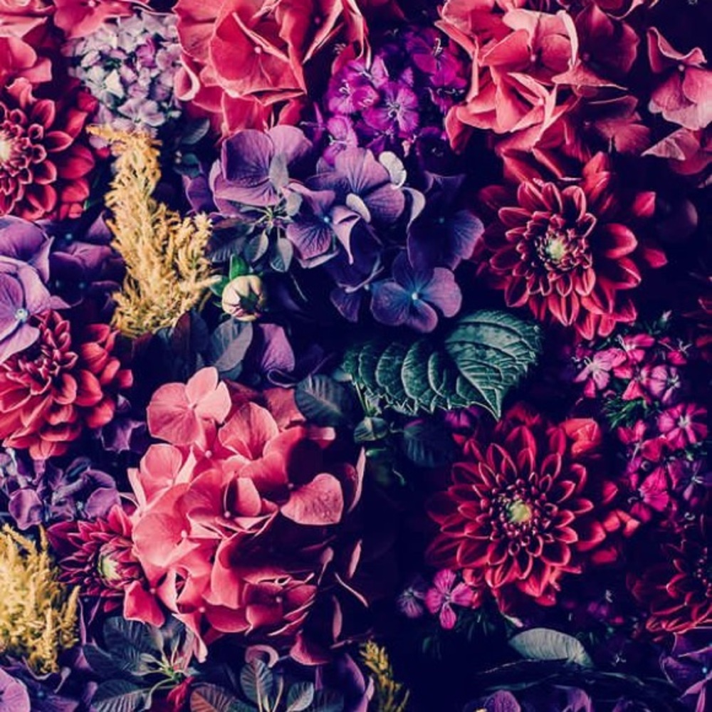 Meet your Posher, Migela