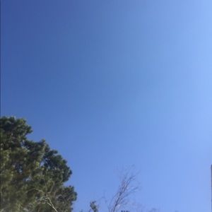 Meet your Posher, Sandy