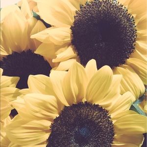 Meet your Posher, Carina