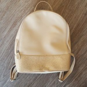 Express Backpack