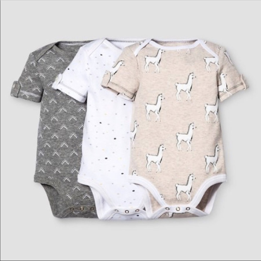 ISO nate berkus llama