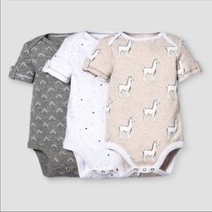 ISO nate berkus llama