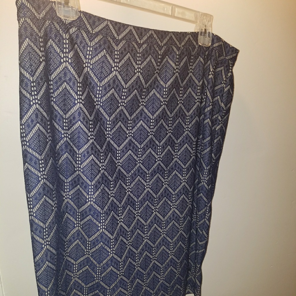 The Limited -Pencil skirt