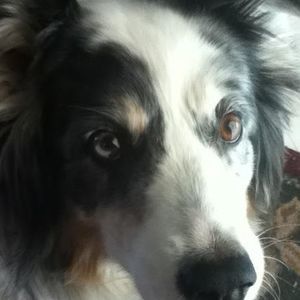 Meet your Posher, Tami