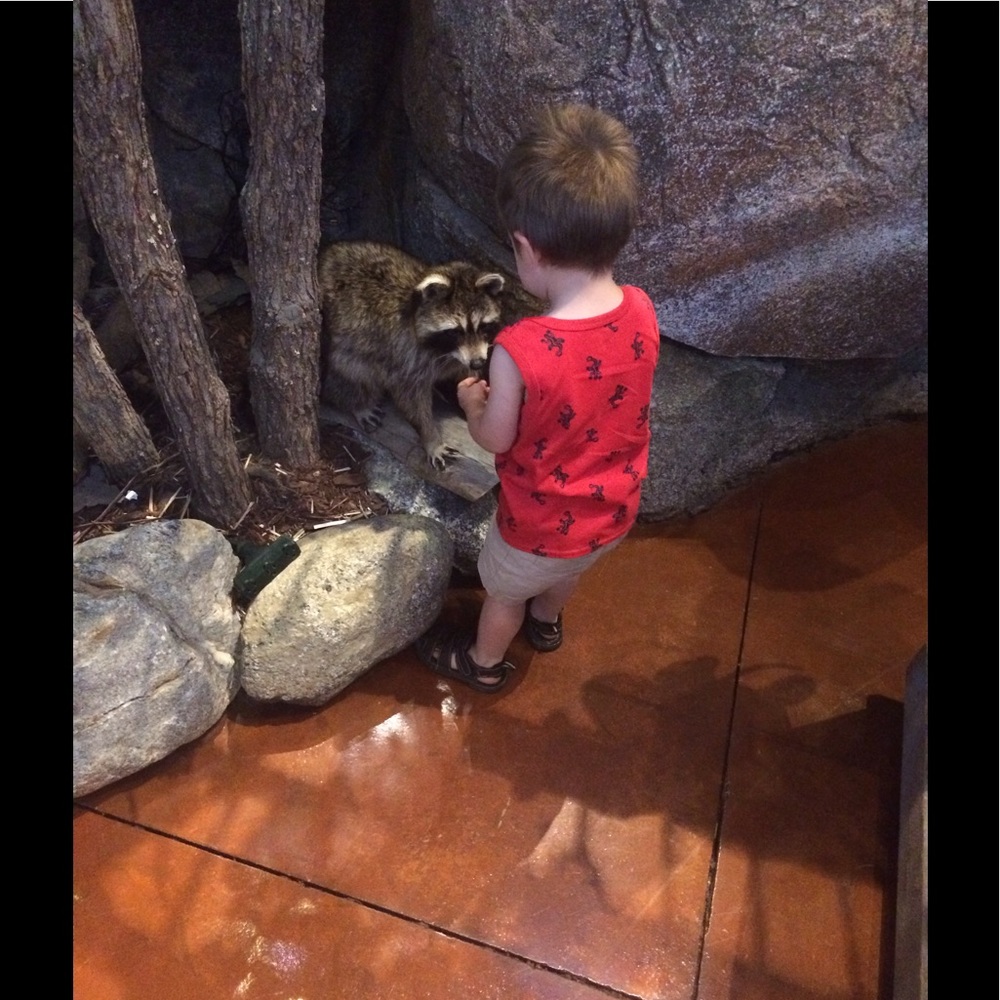 Meet your Posher, Amber