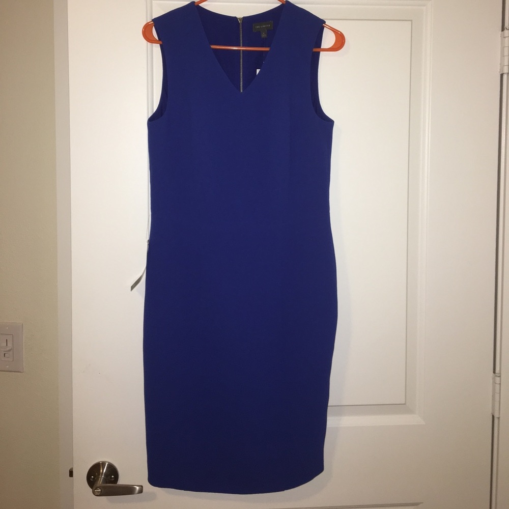 The Limited Blue Sheath Dress