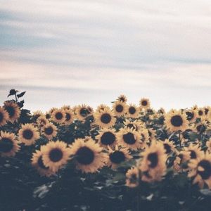 Meet your Posher, Eva