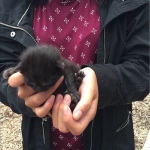 Meet your Posher, Jennifer