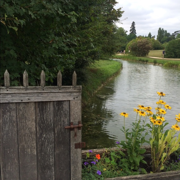 Meet Your Posher: Lou🥝🌟🌺 - Picture 4 of 7