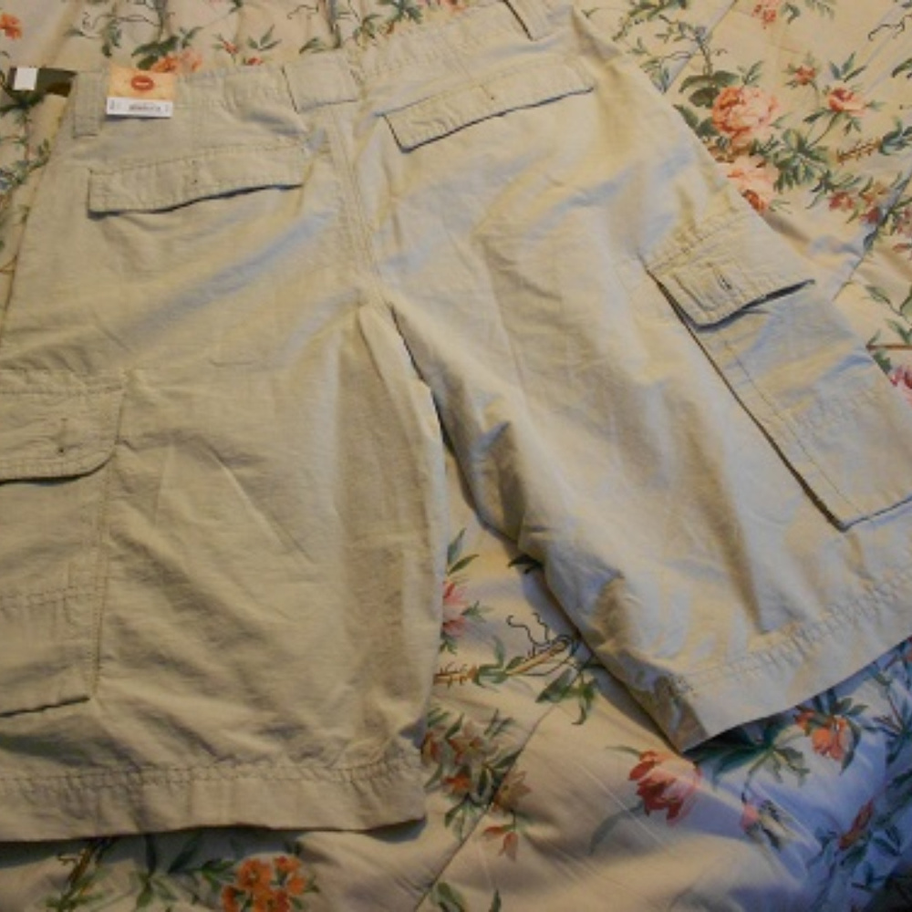 Urban Pipeline Cargo Shorts