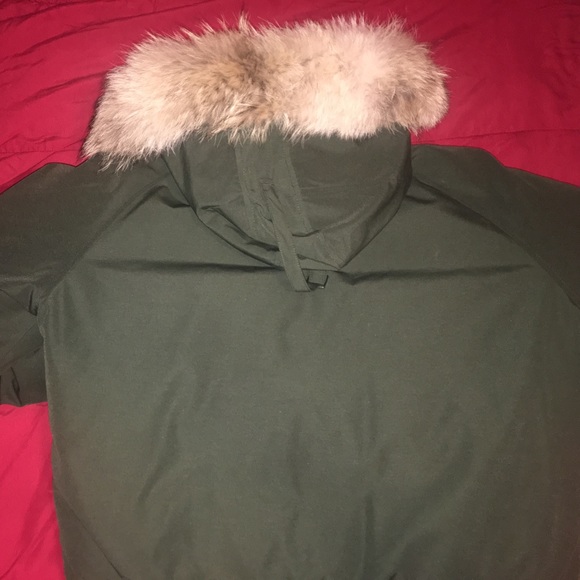 Canada Goose - Picture 4 of 4