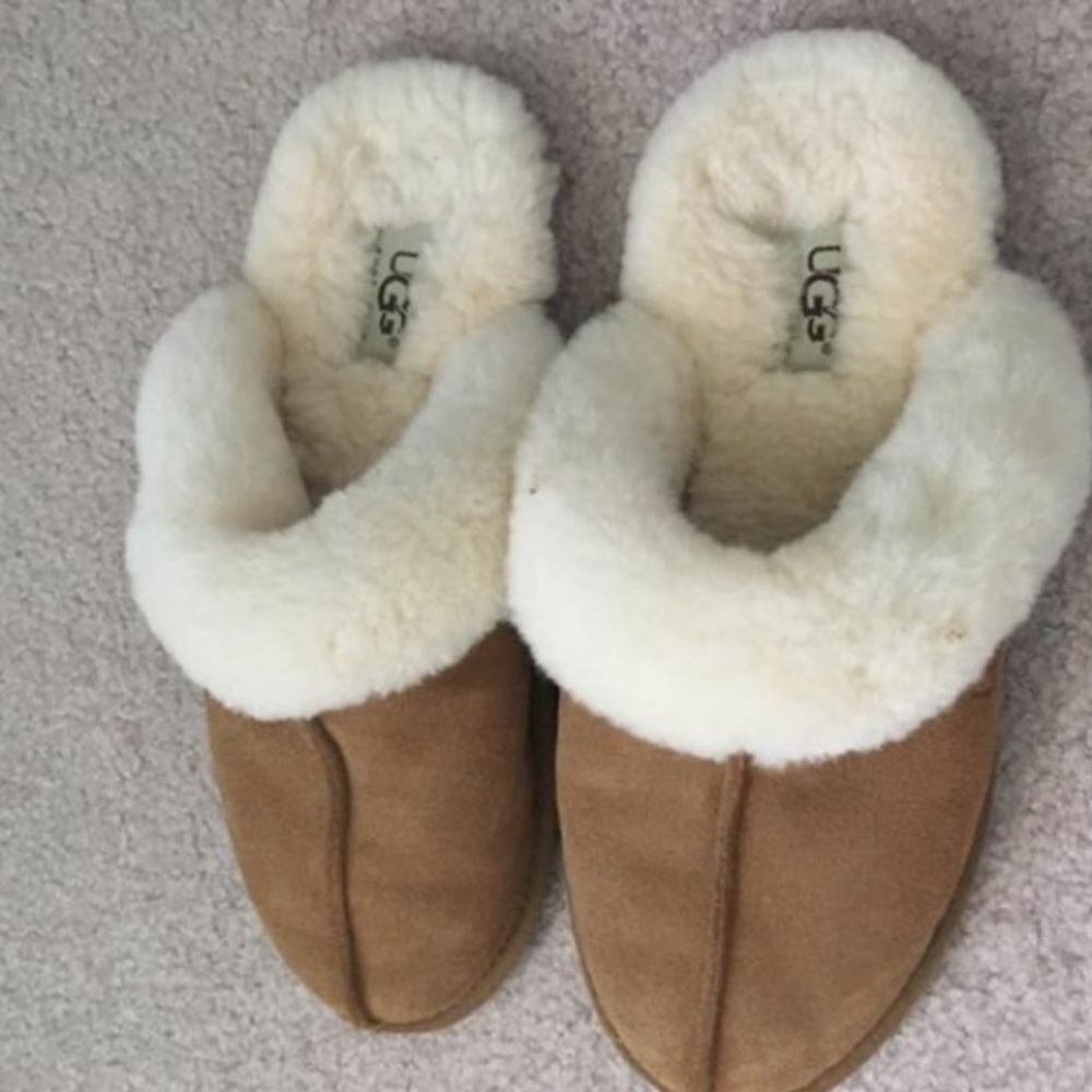 Chestnut Ugg slipper