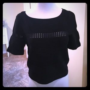 White House Black Market Cropped Top