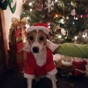 Meet your Posher, Lauree