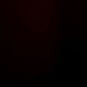 Meet your Posher, Cheyenne