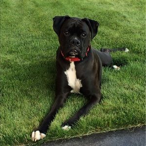 Meet your Posher, Chelsea