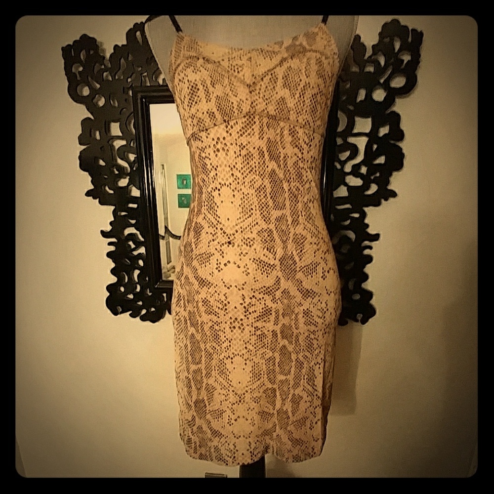 Guess Reptile Print SzS