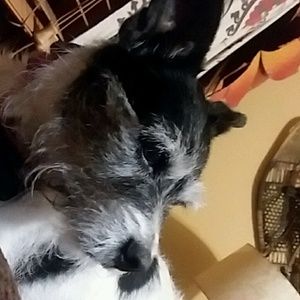 Meet your Posher, Becky