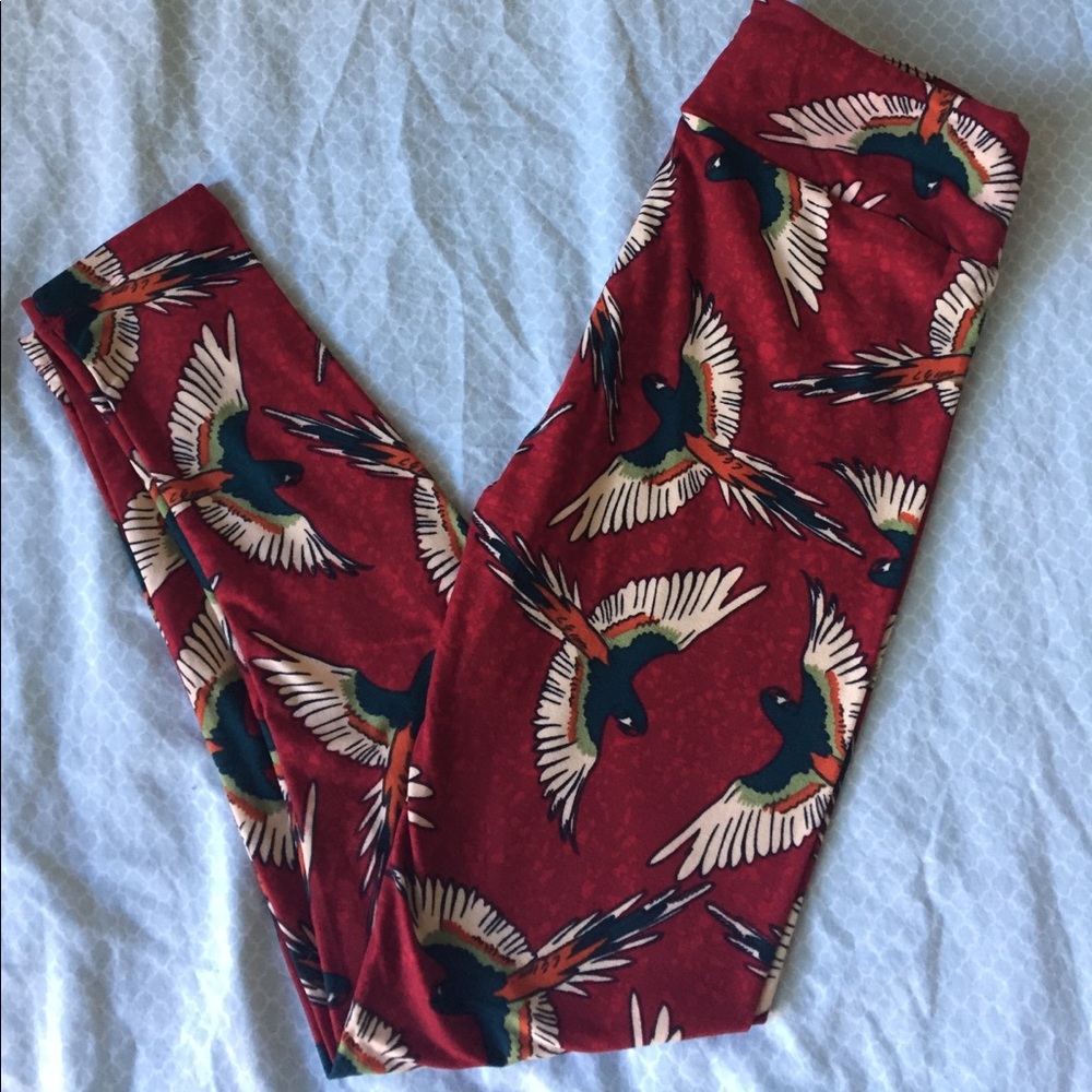 Brand new bird leggings! Super cute!