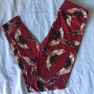 Brand new bird leggings! Super cute!