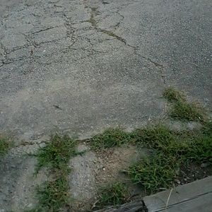 Meet your Posher, Abraham