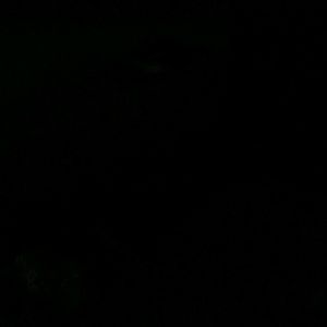 Meet your Posher, Sean