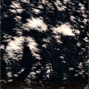 Meet your Posher, Joyce