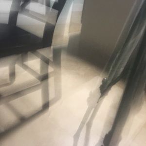 Meet your Posher, Lily