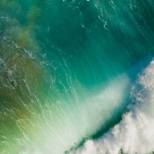 Meet your Posher, Mario