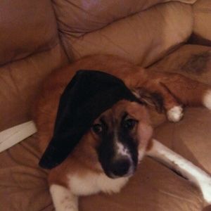 Meet your Posher, Tammy