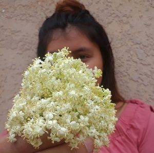 Meet your Posher, Marlene