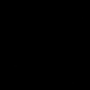 Meet your Posher, Bobbie