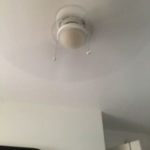 Meet your Posher, Darian