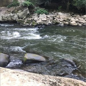 Meet your Posher, Noah