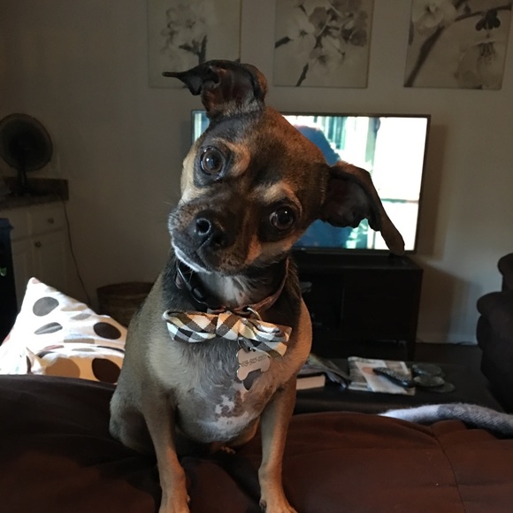 "Look it up, its called FASHION" - Picture 1 of 1